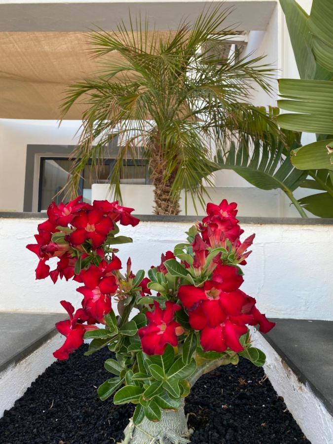 Casa Delfin Playa Blanca Villa Kültér fotó